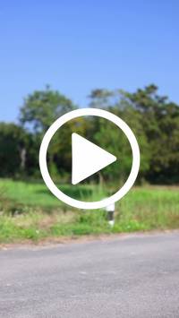 BIB:  <button type="button" onclick="openModal(27574898)" class="btn btn-primary btn-sm float-right" data-toggle="modal" data-target=".modal-high-quality">
                <i class="fa fa-download"></i> Download
                </button>